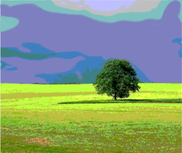 Peinture intitulée "Arbre solitaire III" par Wolf Thiele, Œuvre d'art originale, Travail numérique 2D
