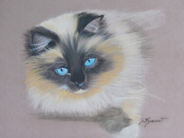 Drawing titled ""Saphir" chat sacré…" by Patricia Giroldini Hyvernat, Original Artwork, Pastel