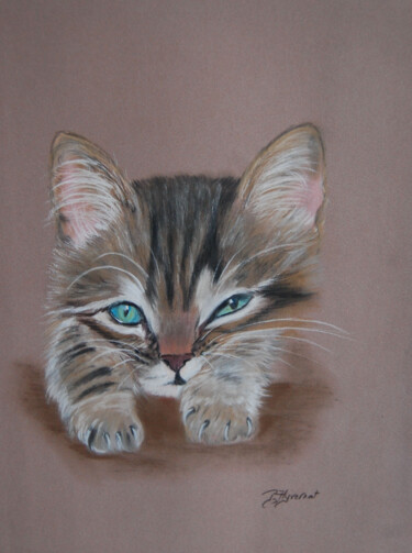 Drawing titled ""Patsy" chaton tigr…" by Patricia Giroldini Hyvernat, Original Artwork, Pastel