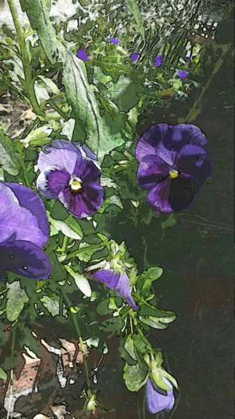 "La reine de l' hiver" başlıklı Fotoğraf Emma Laflute tarafından, Orijinal sanat, Dijital Fotoğrafçılık