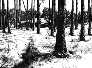 图画 标题为“Frost and Sun. Моро…” 由Владимир Абаимов, 原创艺术品, 墨