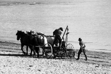 Fotografie getiteld "Les laboureurs" door Camille R., Origineel Kunstwerk, Niet gemanipuleerde fotografie