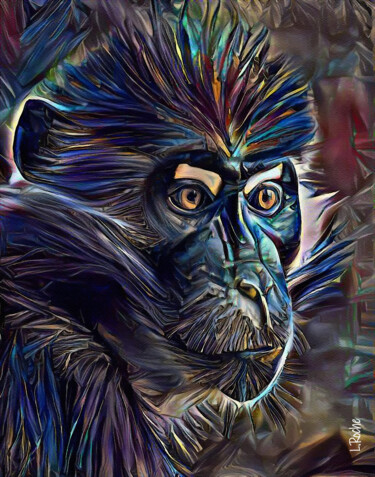 Sergy, monkey