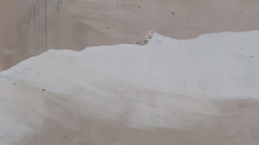 摄影 标题为“Caminho no Deserto” 由Sandra Goes, 原创艺术品, 数码摄影