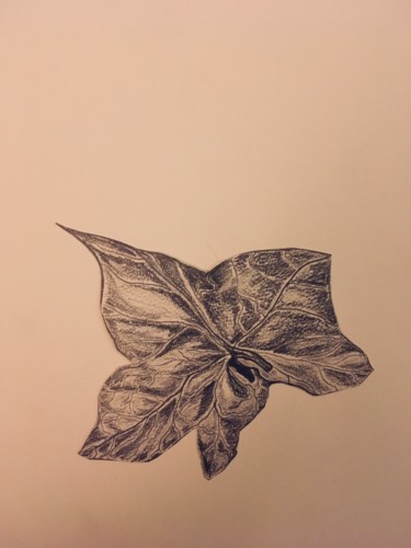 Dessin intitulée "Feuilles. Planche 7…" par Victoria, Œuvre d'art originale, Crayon