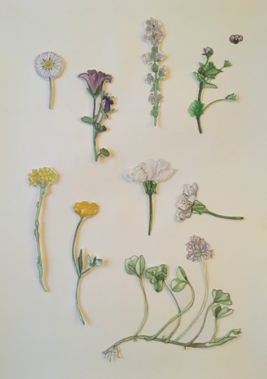 Peinture intitulée "Herbier. Fleurs sau…" par Victoria, Œuvre d'art originale, Aquarelle
