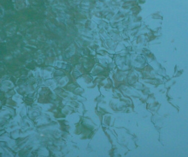 摄影 标题为“Dilution” 由Camille R., 原创艺术品, 非操纵摄影