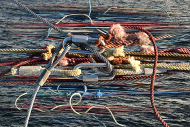 Photography titled "Posés là" by Sylvie Dessert (Syl), Original Artwork, Manipulated Photography
