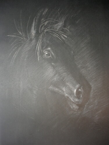 「Tête de cheval à la…」というタイトルの描画 Hélène Avotによって, オリジナルのアートワーク, チョーク