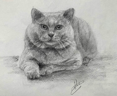 图画 标题为“Chat - Chartreux” 由Hélène Avot, 原创艺术品, 铅笔