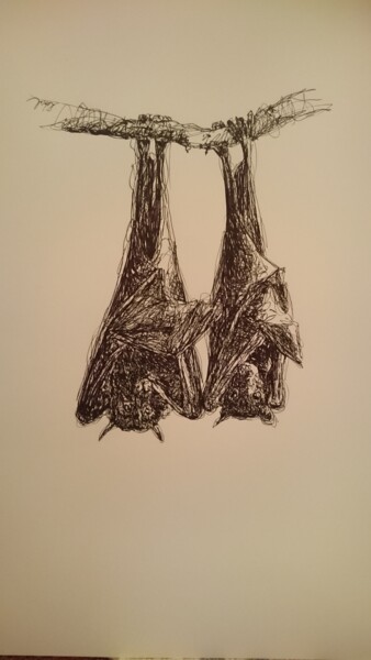 Zeichnungen mit dem Titel "Roussettes" von Karl Robial, Original-Kunstwerk, Tinte