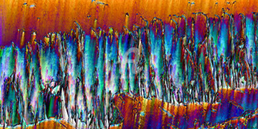 Digital Arts titled "Aubaine" by Cj Perin, Original Artwork, Digital Painting