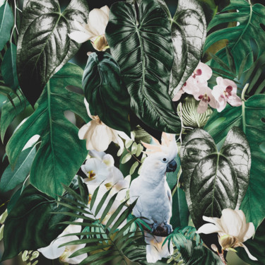 数字艺术 标题为“White parrot” 由Larisa Siverina, 原创艺术品, 数字油画
