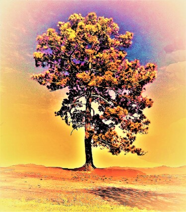 Photography titled "SUNRISE LADY" by Jmsbell, Original Artwork, Manipulated Photography