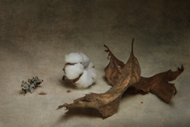 Photographie intitulée "Coton 2" par Jean-François Mansencal, Œuvre d'art originale, Photographie numérique