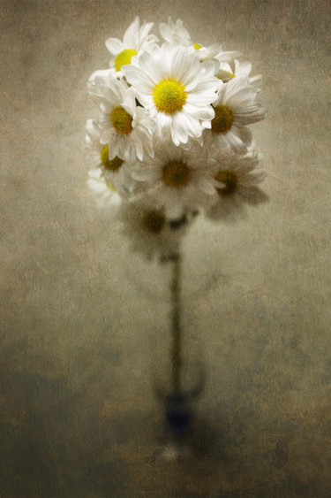 Photographie intitulée "Bouquet de margueri…" par Jean-François Mansencal, Œuvre d'art originale, Photographie numérique