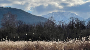 Photography titled "Les couleurs de l'h…" by Camille R., Original Artwork, Non Manipulated Photography
