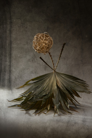 Photographie intitulée "Danseuse" par Jean-François Mansencal, Œuvre d'art originale, Photographie numérique
