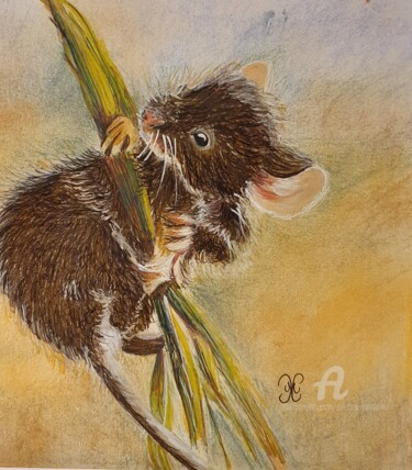 图画 标题为“Souris des champs” 由Cristina Carmona, 原创艺术品, 铅笔