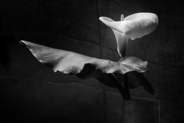 Photographie intitulée "La direction" par Jean-François Mansencal, Œuvre d'art originale, Photographie numérique