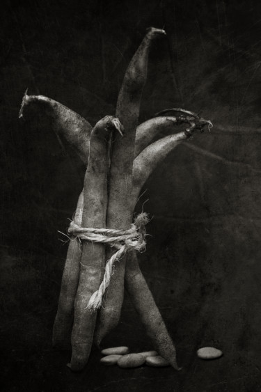 Photographie intitulée "Fèves" par Jean-François Mansencal, Œuvre d'art originale, Photographie numérique