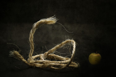 Photographie intitulée "Nahash" par Jean-François Mansencal, Œuvre d'art originale, Photographie numérique