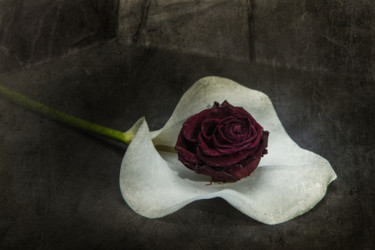 Photographie intitulée "Linceul" par Jean-François Mansencal, Œuvre d'art originale, Photographie numérique