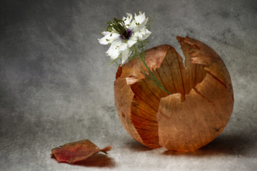 Photographie intitulée "Fleur d'oignon" par Jean-François Mansencal, Œuvre d'art originale, Photographie numérique