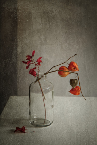 Photographie intitulée "Physalis 2" par Jean-François Mansencal, Œuvre d'art originale, Photographie numérique