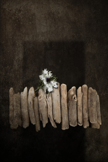 Photographie intitulée "Fleur au balcon" par Jean-François Mansencal, Œuvre d'art originale, Photographie numérique