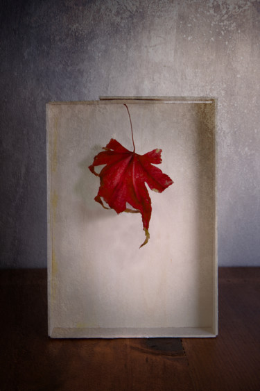Tableau 2 Photographie intitulée "Tableau 2" par Jean-François Mansencal, Œuvre d'art originale, Photographie numérique