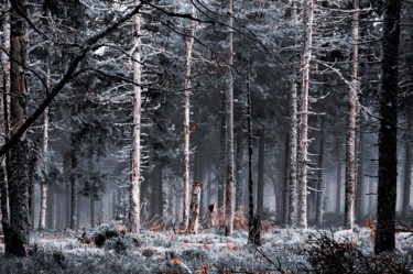 Photography titled "Lost Space" by Matthieu Debano, Original Artwork, Digital Photography