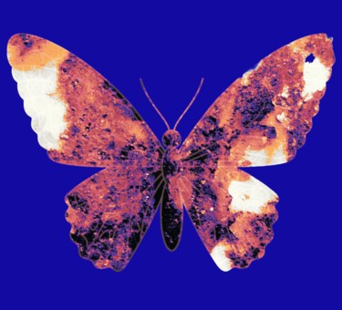 Digital Arts titled "Broken Wings" by Robert Grubbs, Original Artwork, Manipulated Photography