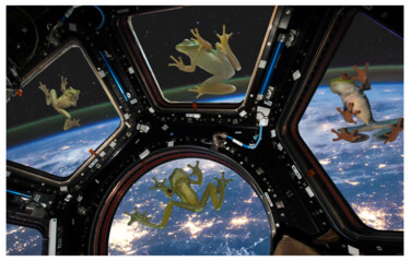 「Space Frogs」というタイトルのデジタルアーツ Pia Valentin Sørensenによって, オリジナルのアートワーク, 写真モンタージュ