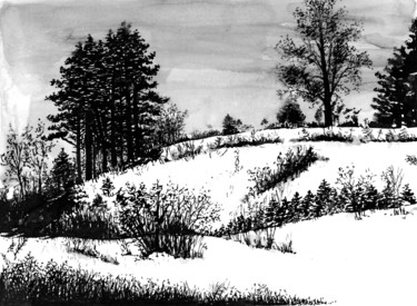 In the Middle of Winter 14. Среди зимы 14 图画 标题为“In the Middle of Wi…” 由Владимир Абаимов, 原创艺术品, 墨