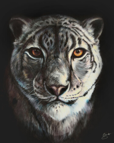 Snow Leopard