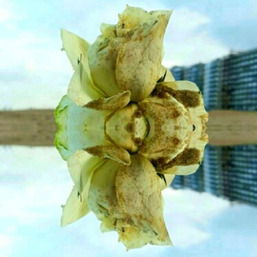 ART0912