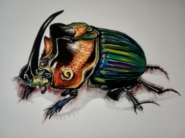 Schilderij getiteld "Coléoptère Rhinocér…" door Virginie Isfaoui, Origineel Kunstwerk, Aquarel