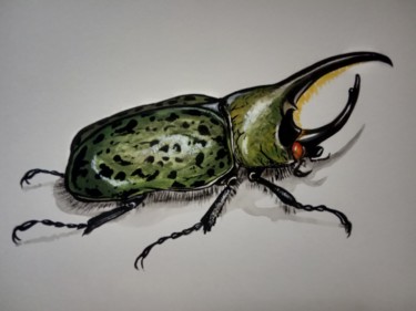 Peinture intitulée "Coléoptère Jupiter" par Virginie Isfaoui, Œuvre d'art originale, Aquarelle