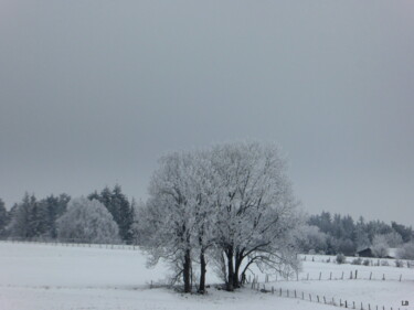 Photographie intitulée "Mon arbre sous la n…" par Laure Barlet, Œuvre d'art originale, Photographie numérique