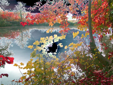 Photography titled "Les feux de l'autom…" by Michel Guillaumeau, Original Artwork, Manipulated Photography