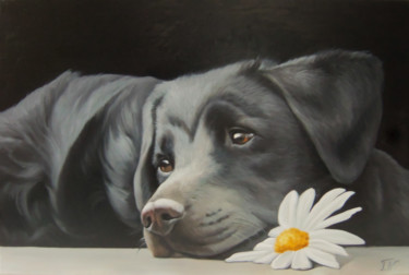 Dog with chamomile (40x60cm, oil painting, ready to hang) Painting titled "Dog with chamomile…" by Sergey Miqayelya, Original Artwork, Oil Mounted on Wood Stretcher frame