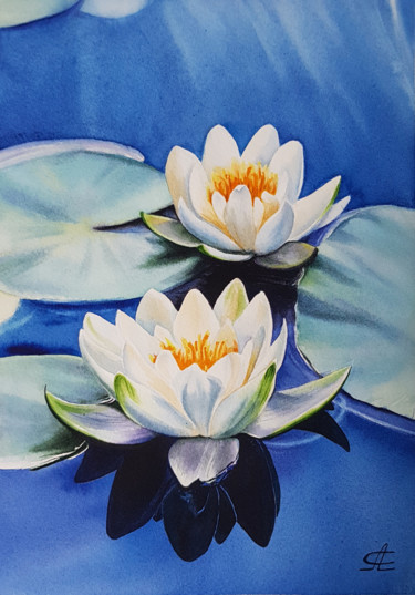 Painting titled "Couple or water lil…" by Svetlana Lileeva, Original Artwork, Watercolor
