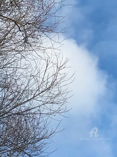 摄影 标题为“the cloud” 由Grazyna Hajewski, 原创艺术品, 数码摄影