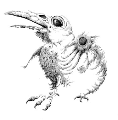 Drawing titled "raven" by Jure Kralj, Original Artwork, Ink