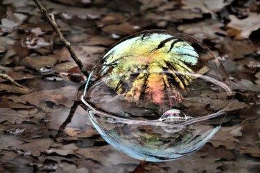 Photographie intitulée "Refuge" par Patrick Vincent, Œuvre d'art originale, Photographie numérique Monté sur Aluminium