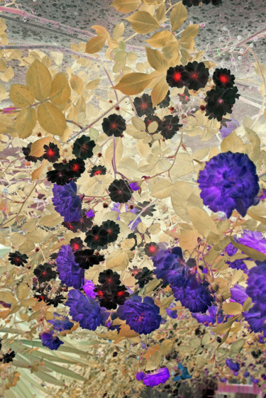 摄影 标题为“Flore minérale” 由Michel Guillaumeau, 原创艺术品, 操纵摄影