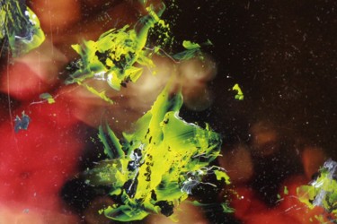 Abstraction of dead flowers 03- photo + acrylic painting Photography titled "Abstraction of dead…" by Wim Adema, Original Artwork, Analog photography Mounted on Wood Stretcher frame