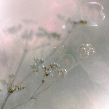 Photographie intitulée "Evanescence ..." par Michel Guillaumeau, Œuvre d'art originale, Photographie manipulée
