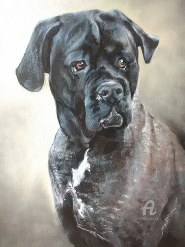 Dessin intitulée "Chien Rex" par Isabelle Derangere, Œuvre d'art originale, Pastel